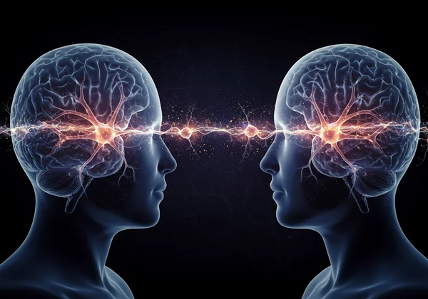 Mirror neurons connecting two minds, showing shared experience
